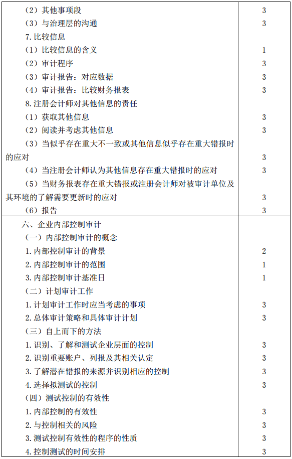 審計大綱13