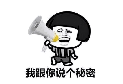會計的黑hua